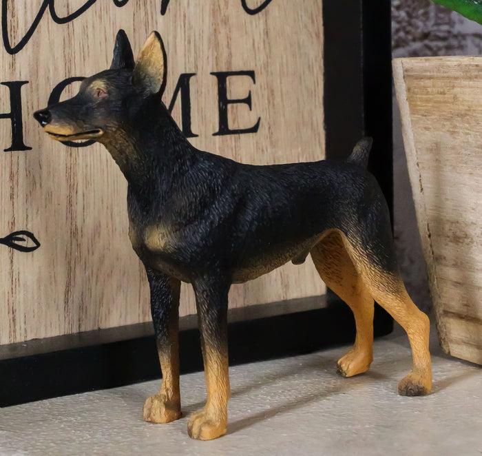 Pet Pal Lifelike Realistic Black Doberman Pinscher Dog Miniature Figurine Pet Pal Lifelike Realistic Black Doberman Pinscher Dog Miniature Figurine