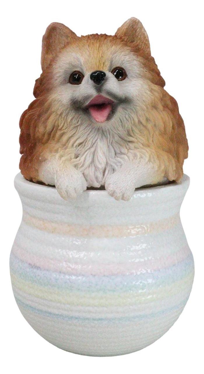 Pet Pomeranian Pom Pom Teacup Puppy Dog Figurine With Glass Eyes Pup In Pot Pet Pomeranian Pom Pom Teacup Puppy Dog Figurine With Glass Eyes Pup In Pot