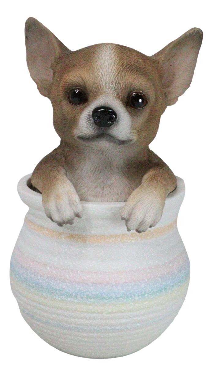 Pet Taco Chihuahua Teacup Puppy Dog Figurine With Glass Eyes Pup In Pot Pet Taco Chihuahua Teacup Puppy Dog Figurine With Glass Eyes Pup In Pot