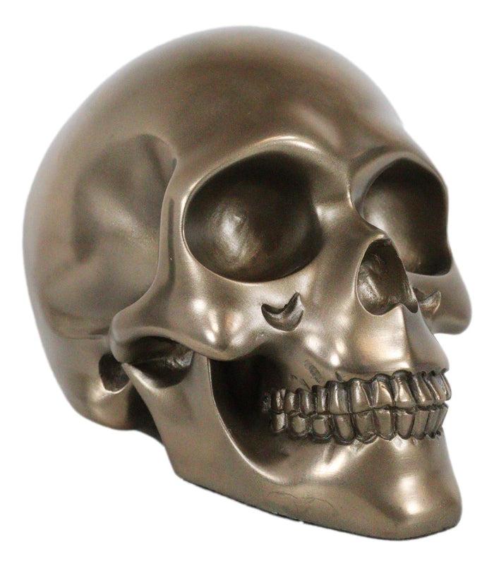 Pirate Tomb Treasure Bronze Cranium Skull Figurine Electroplated Resin Sculpture