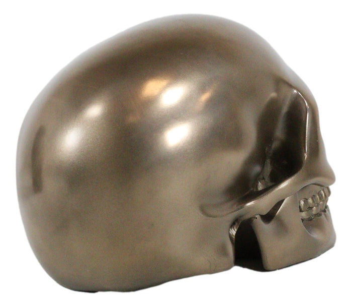 Pirate Tomb Treasure Bronze Cranium Skull Figurine Electroplated Resin Sculpture