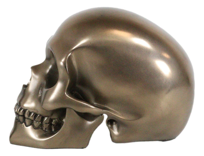 Pirate Tomb Treasure Bronze Cranium Skull Figurine Electroplated Resin Sculpture