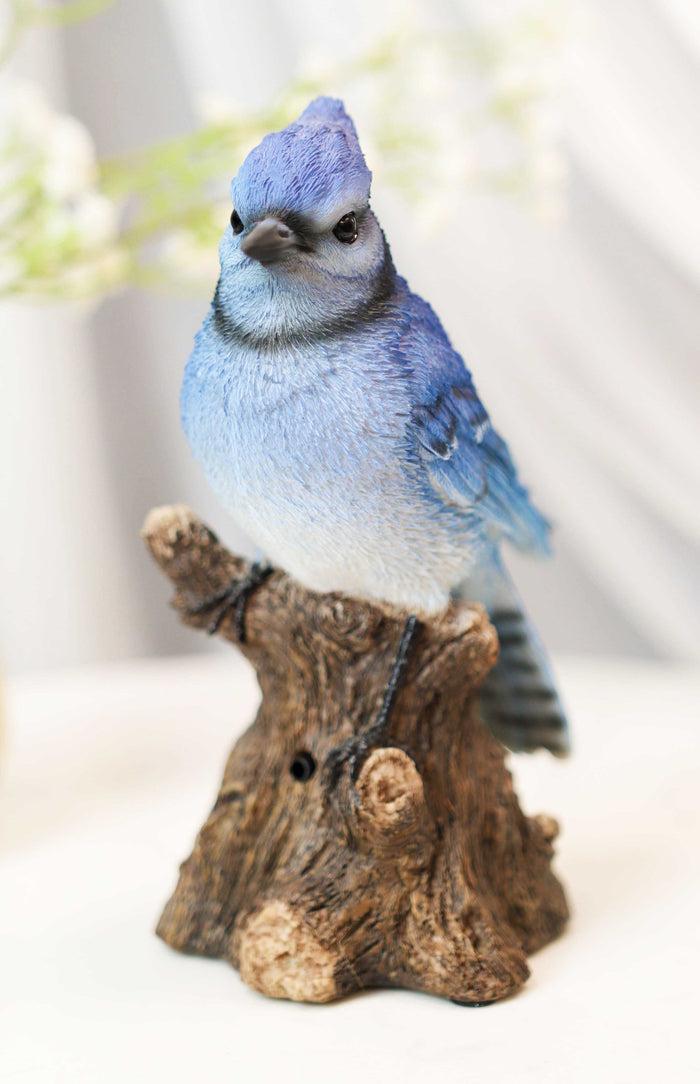 Pretty Blue Jay Perching On Tree Stump With Motion Activated Bird Sound Figurine