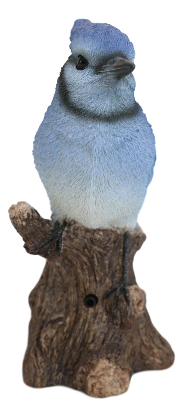 Pretty Blue Jay Perching On Tree Stump With Motion Activated Bird Sound Figurine