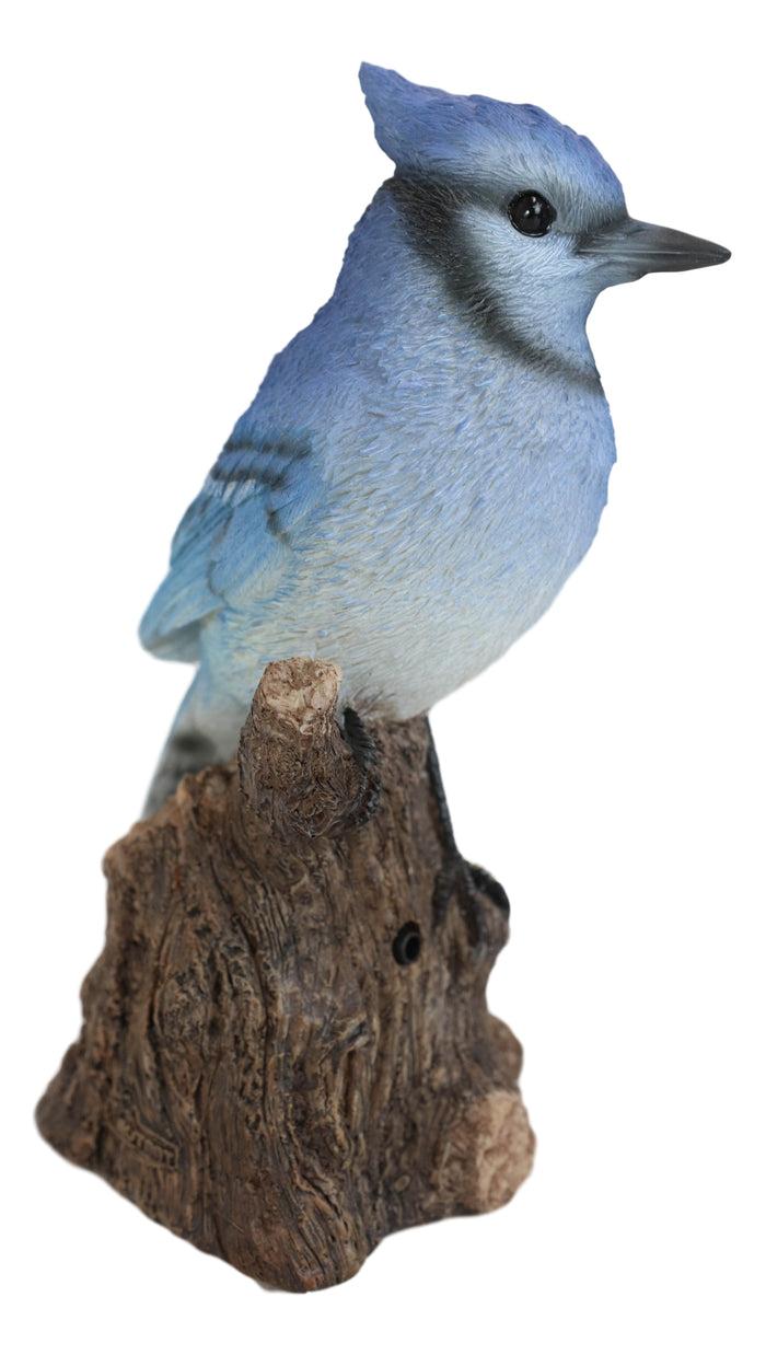 Pretty Blue Jay Perching On Tree Stump With Motion Activated Bird Sound Figurine