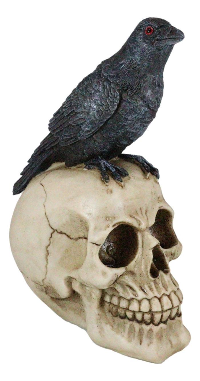 Quoth The Raven Nevermore Black Crow With Red Eyes On Macabre Skull Figurine