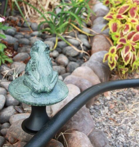 Rainforest Frog On Mushroom Fly Hunting Aluminum Hose Guard Guide Garden Stake