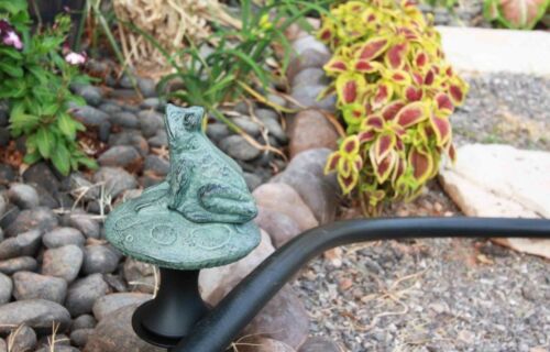Rainforest Frog On Mushroom Fly Hunting Aluminum Hose Guard Guide Garden Stake