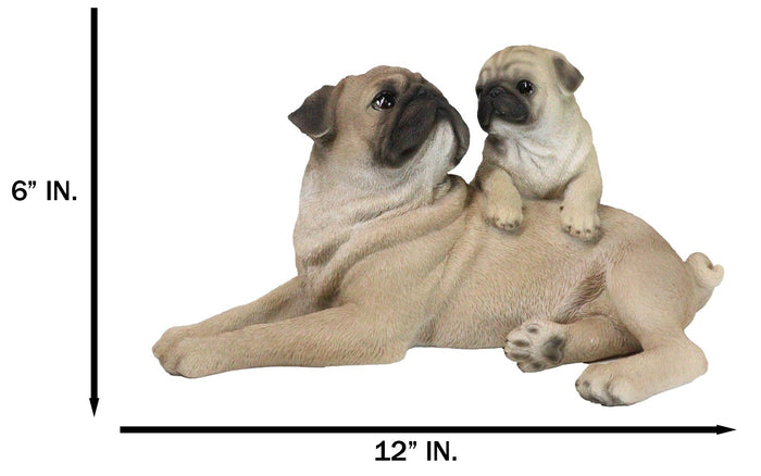 Realistic Adorable Canine Fawn Pug Mother Dog With Puppy Family Figurine 12"L