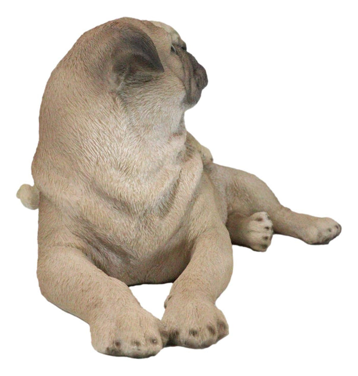 Realistic Adorable Canine Fawn Pug Mother Dog With Puppy Family Figurine 12"L