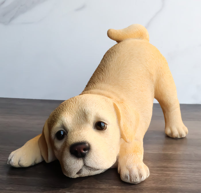 Realistic Adorable Crouching Fawn Golden Retriever Puppy Pet Dog Figurine Realistic Adorable Crouching Fawn Golden Retriever Puppy Pet Dog Figurine