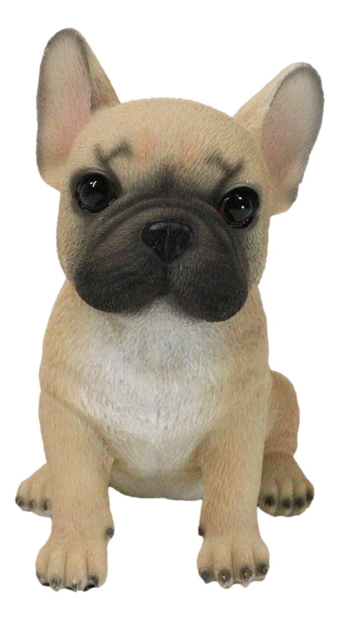 Realistic Adorable Fawn French Bulldog Puppy 6"H Cute Frenchie Dog Figurine Realistic Adorable Fawn French Bulldog Puppy 6"H Cute Frenchie Dog Figurine