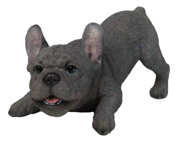 Realistic Adorable Grey French Bulldog Puppy Dog Crouching Frenchie Figurine Realistic Adorable Grey French Bulldog Puppy Dog Crouching Frenchie Figurine