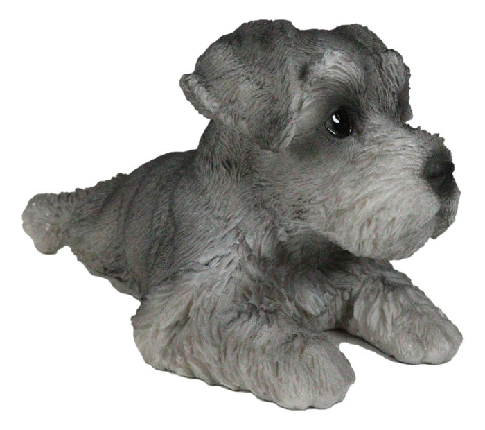Realistic Adorable Grey Mini Schnauzer Dog Lying On Belly Figurine Pet Pal