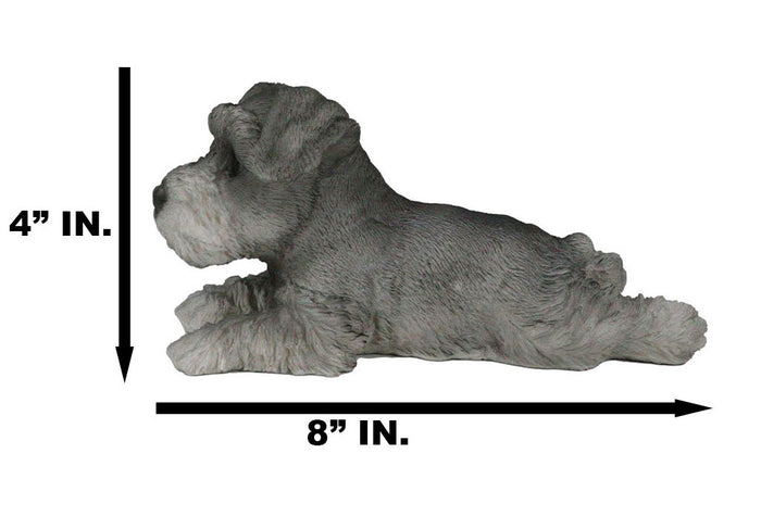 Realistic Adorable Grey Mini Schnauzer Dog Lying On Belly Figurine Pet Pal