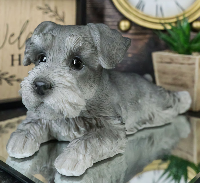 Realistic Adorable Grey Mini Schnauzer Dog Lying On Belly Figurine Pet Pal Realistic Adorable Grey Mini Schnauzer Dog Lying On Belly Figurine Pet Pal