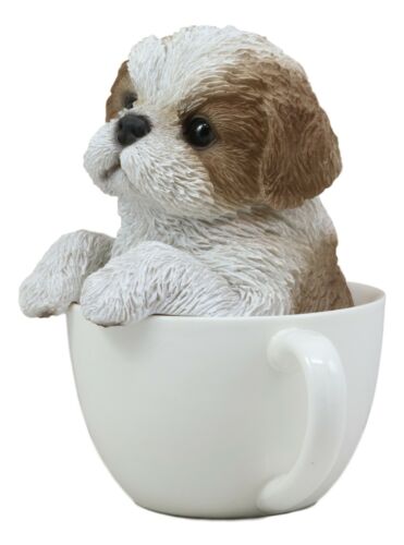Realistic Adorable Shih Tzu Dog In Teacup Statue 5.75" Tall Pet Pal Decor Dogs