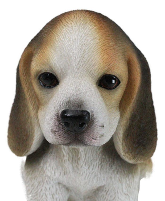 Realistic Adorable Sitting Tri Color Beagle Dog Puppy Home Decor Figurine 6"L