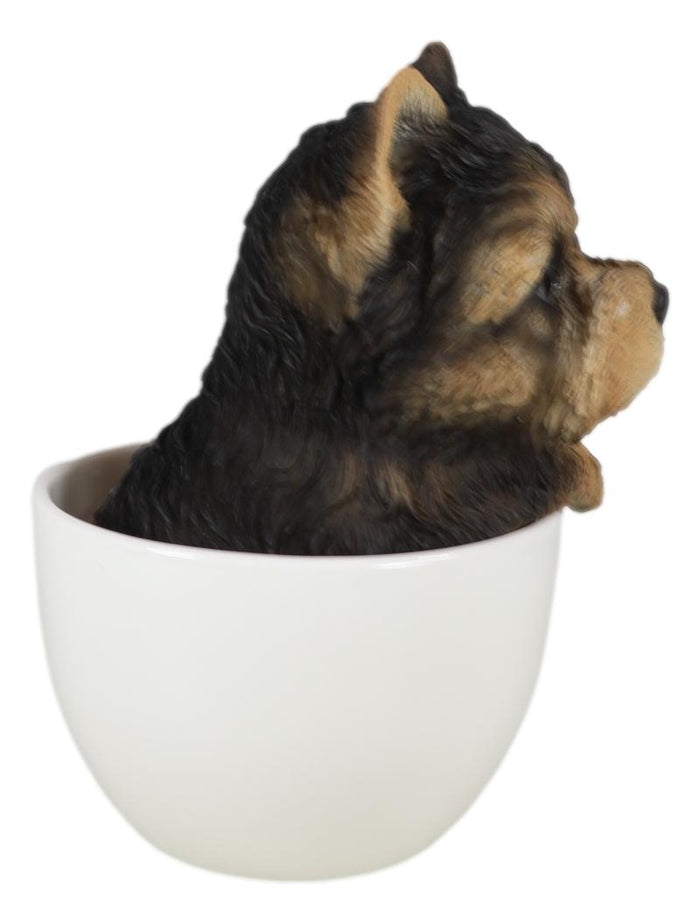 Realistic Adorable Yorkie Dog In Teacup Statue 6"H Pet Pal Yorkshire Terrier