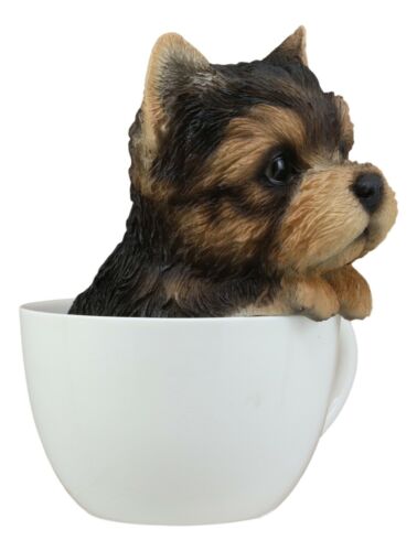Realistic Adorable Yorkie Dog In Teacup Statue 6"H Pet Pal Yorkshire Terrier