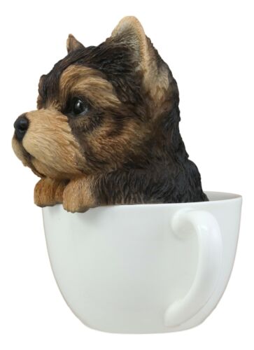 Realistic Adorable Yorkie Dog In Teacup Statue 6"H Pet Pal Yorkshire Terrier