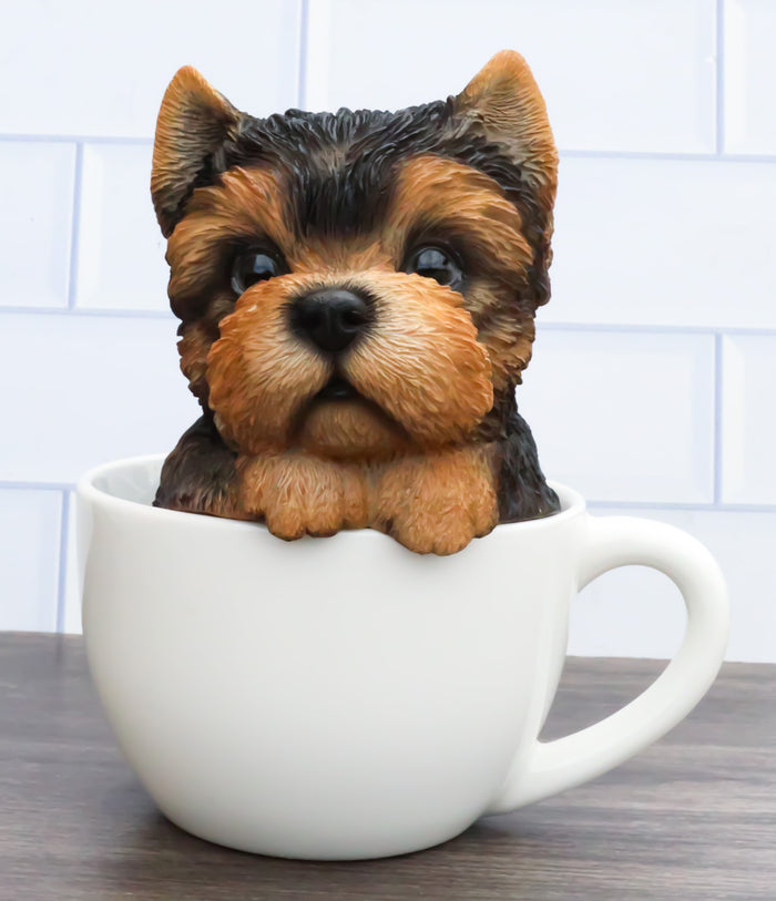 Realistic Adorable Yorkie Dog in Teacup Statue 6"H Pet Pal Yorkshire Terrier Realistic Adorable Yorkie Dog in Teacup Statue 6"H Pet Pal Yorkshire Terrier