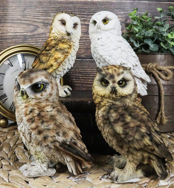 Realistic Colorful Nocturnal Snowy Barn Great Horned Owl Birds Figurine Set Of 4