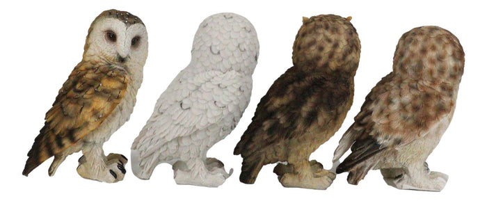 Realistic Colorful Nocturnal Snowy Barn Great Horned Owl Birds Figurine Set Of 4