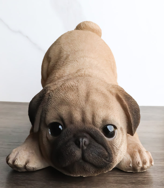 Realistic Lifelike Adorable Fawn Pug Puppy Dog Crouching Playfully Figurine Realistic Lifelike Adorable Fawn Pug Puppy Dog Crouching Playfully Figurine
