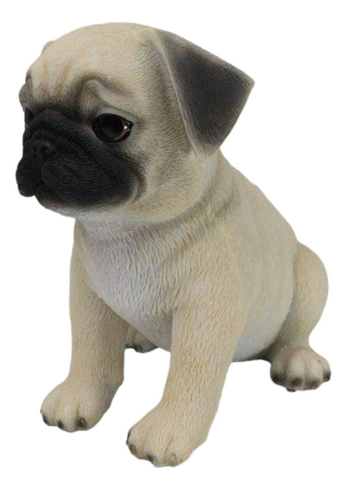 Realistic Lifelike Adorable Sitting Pug Dog Puppy Home Decor Figurine Pet Pal