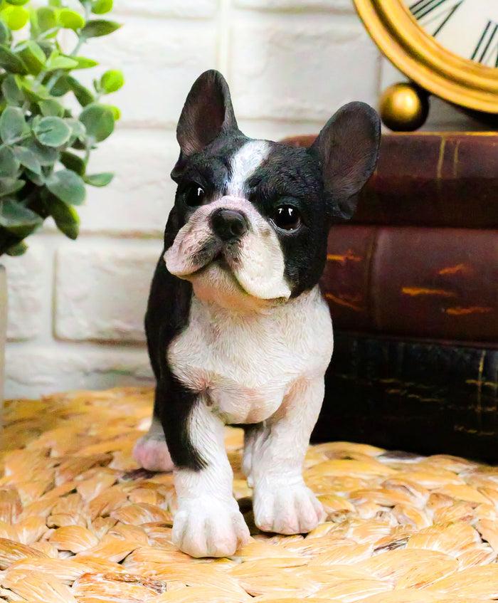 Realistic Lifelike Black French Bulldog Frenchie Puppy Dog Figurine Pet Pal Realistic Lifelike Black French Bulldog Frenchie Puppy Dog Figurine Pet Pal