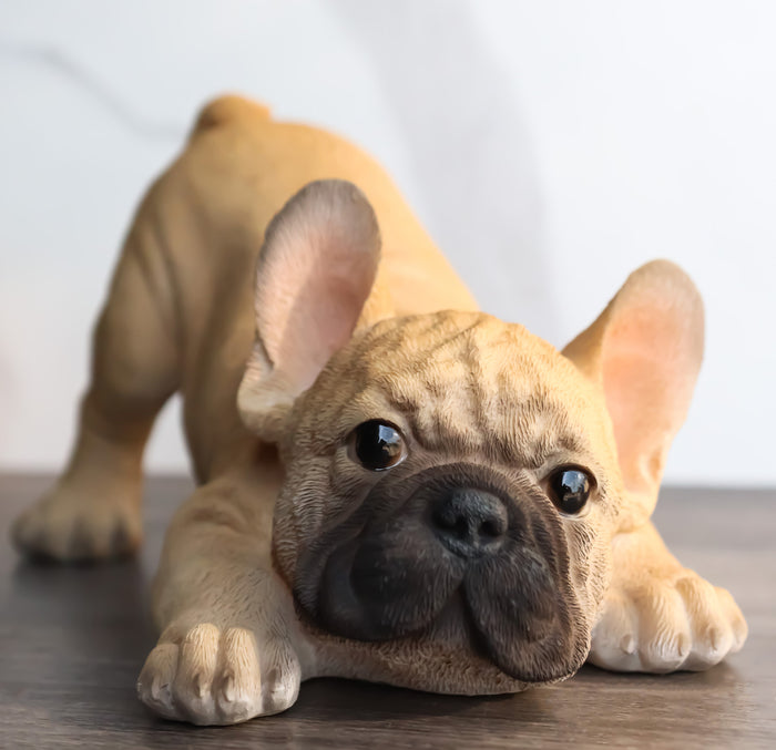 Realistic Lifelike Crouching French Bulldog Frenchie Puppy Figurine Decor Realistic Lifelike Crouching French Bulldog Frenchie Puppy Figurine Decor