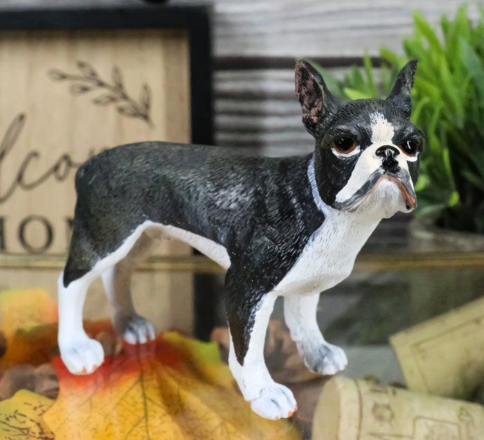Realistic Miniature Boston Terrier Puppy Dog With Faint Red Face Figurine Realistic Miniature Boston Terrier Puppy Dog With Faint Red Face Figurine