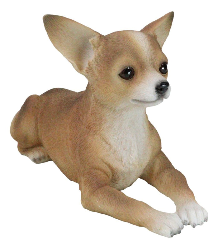 Realistic Shorthair Deer Head Chihuahua Dog Figurine With Glass Eyes 11"Long Realistic Shorthair Deer Head Chihuahua Dog Figurine With Glass Eyes 11"Long