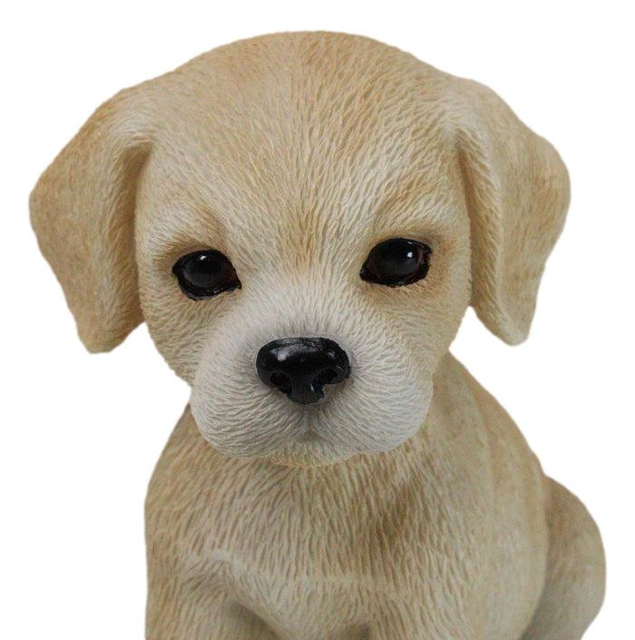 Realistic Sitting Adorable Fawn Labrador Puppy Figurine 5.5" Tall Pet Pal Dog