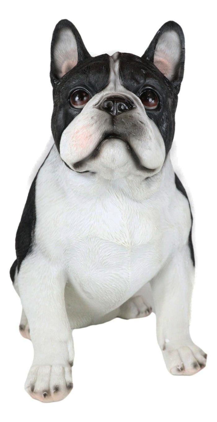 Realistic Sitting Black French Bulldog Puppy Dog With Glass Eyes Statue Pet Pal