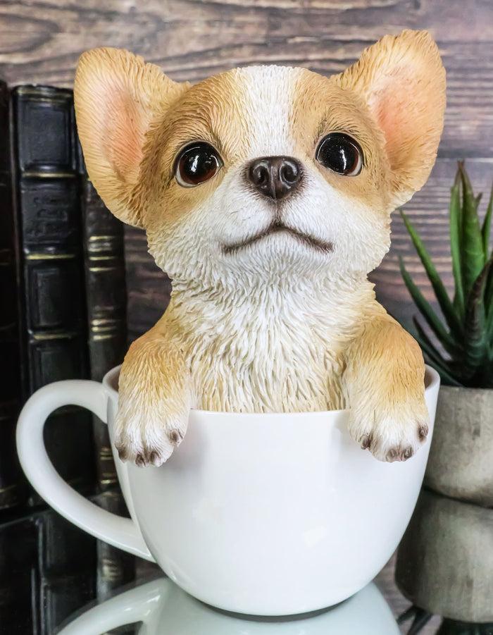 Realistic Tan Chihuahua Dog in Teacup Statue 5.75"H Pet Pal Chihuahuas Decor Realistic Tan Chihuahua Dog in Teacup Statue 5.75"H Pet Pal Chihuahuas Decor