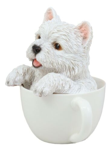 Realistic White Westie Dog In Teacup Statue 6"H Pet Pal West Highland Terrier