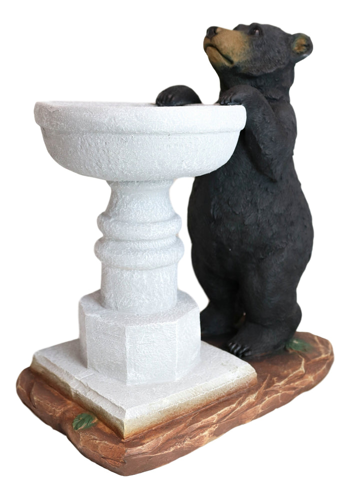 Rustic Black Bear By Wishing Fountain Bird Feeder Or Bath Garden Statue 27"H