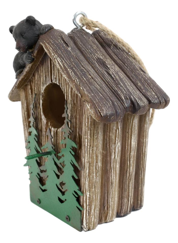 Rustic Black Bear Cub Climbing Pine Trees Birdhouse Roof Hanging Bird Feeder