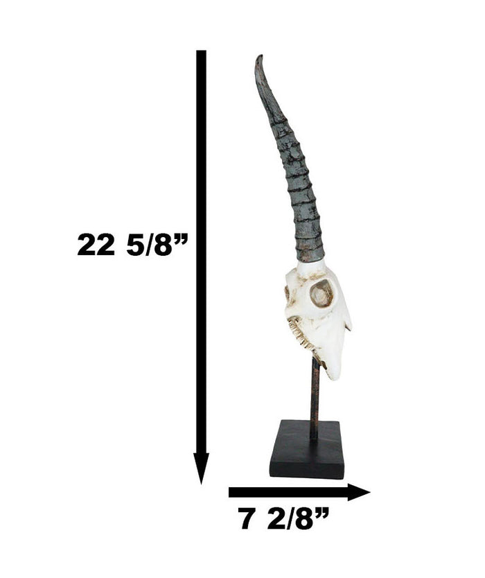 Rustic Western Aged Bone Springbok Antelope Skull On Pole Stand Base Figurine