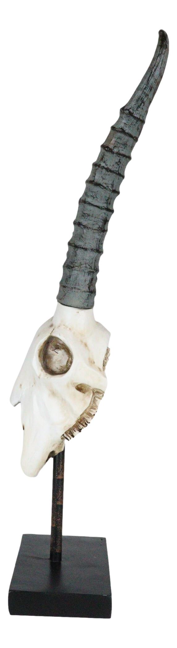 Rustic Western Aged Bone Springbok Antelope Skull On Pole Stand Base Figurine