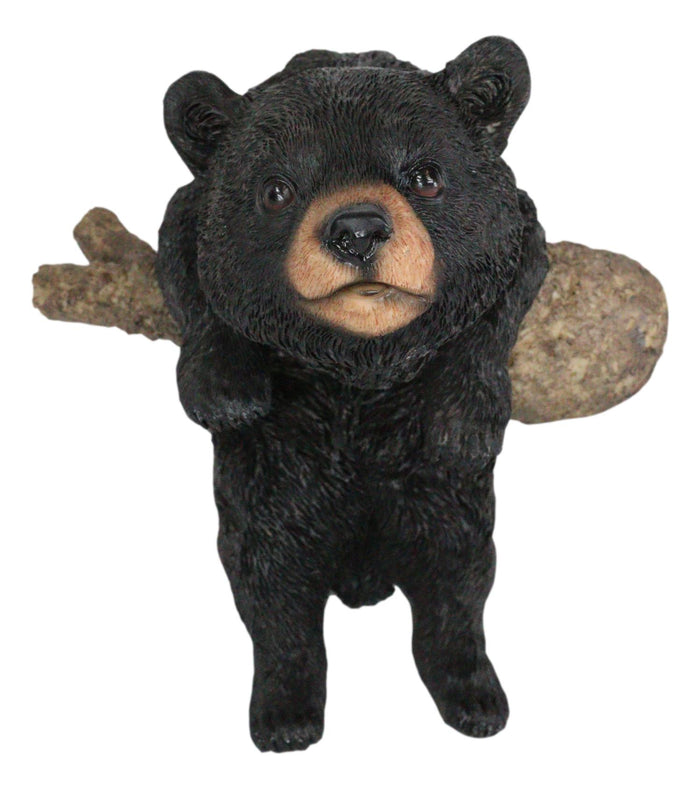 Rustic Western Forest Black Bear Cub Frolic Dangling On Tree Branch Wall Decor