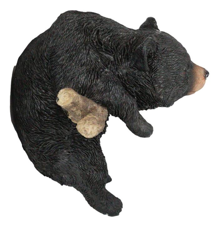 Rustic Western Forest Black Bear Cub Frolic Dangling On Tree Branch Wall Decor