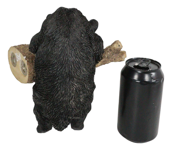Rustic Western Forest Black Bear Cub Frolic Dangling On Tree Branch Wall Decor