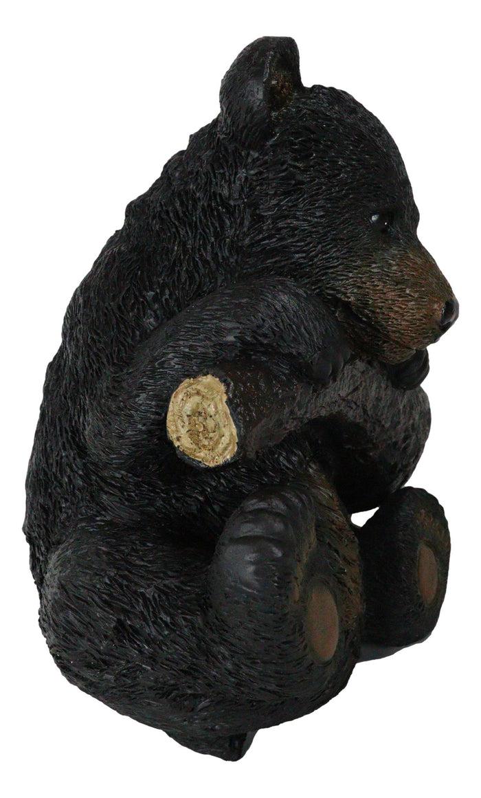 Rustic Western Forest Black Bear Cub Hanging On Branch Wall Or Tree Bark Decor