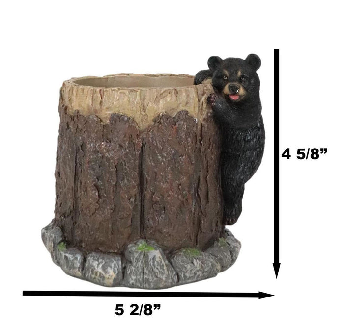 Rustic Western Forest Naughty Black Bear Cub Climbing Tree Stationery Pen Holder