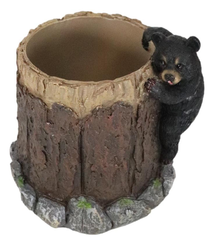 Rustic Western Forest Naughty Black Bear Cub Climbing Tree Stationery Pen Holder