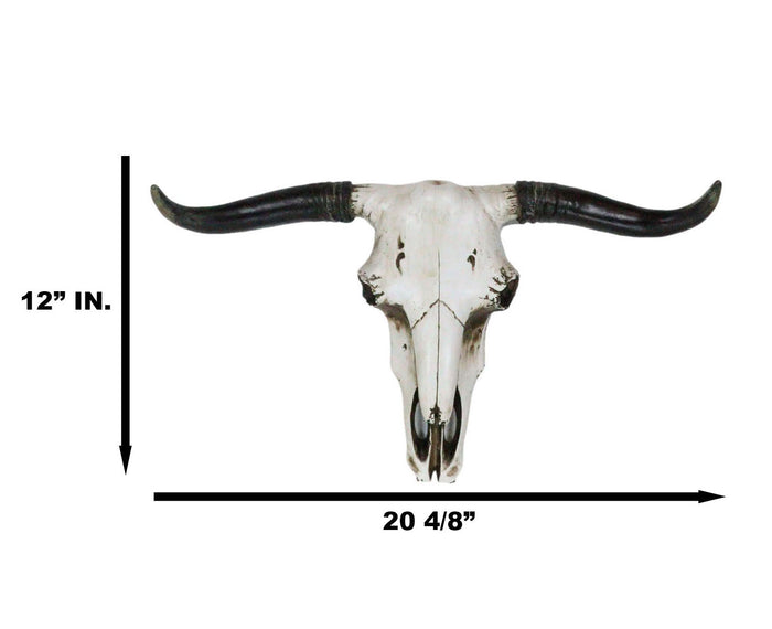 Rustic Western Longhorn Bull Cow Steer Head Skull Wall Decor Plaque 20.5"L