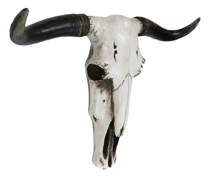 Rustic Western Longhorn Bull Cow Steer Head Skull Wall Decor Plaque 20.5"L